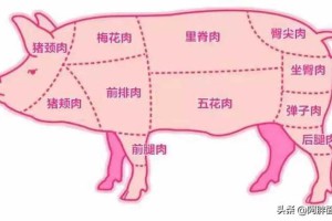 过年了，教你了解猪身上最好吃的肉排行，后腿肉倒数，五花肉第二